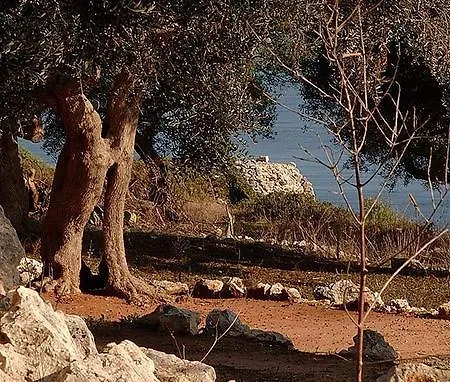 La Lupa לינה וארוחת בוקר 2*